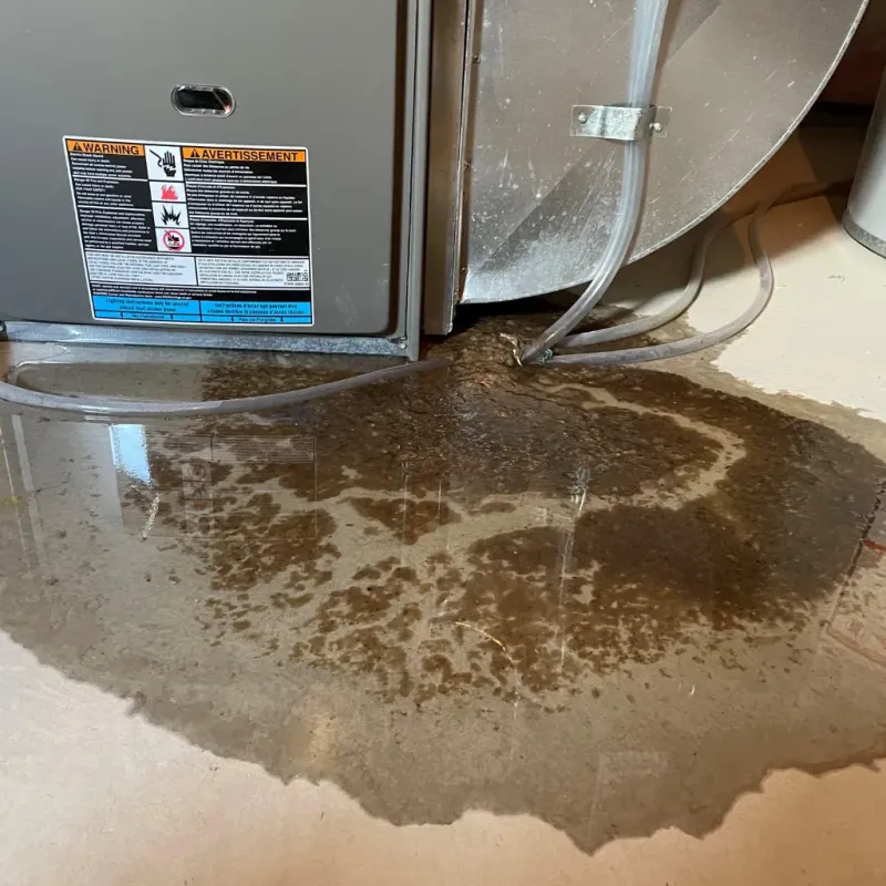 Appliance Leak Cleanup in Florence, AL